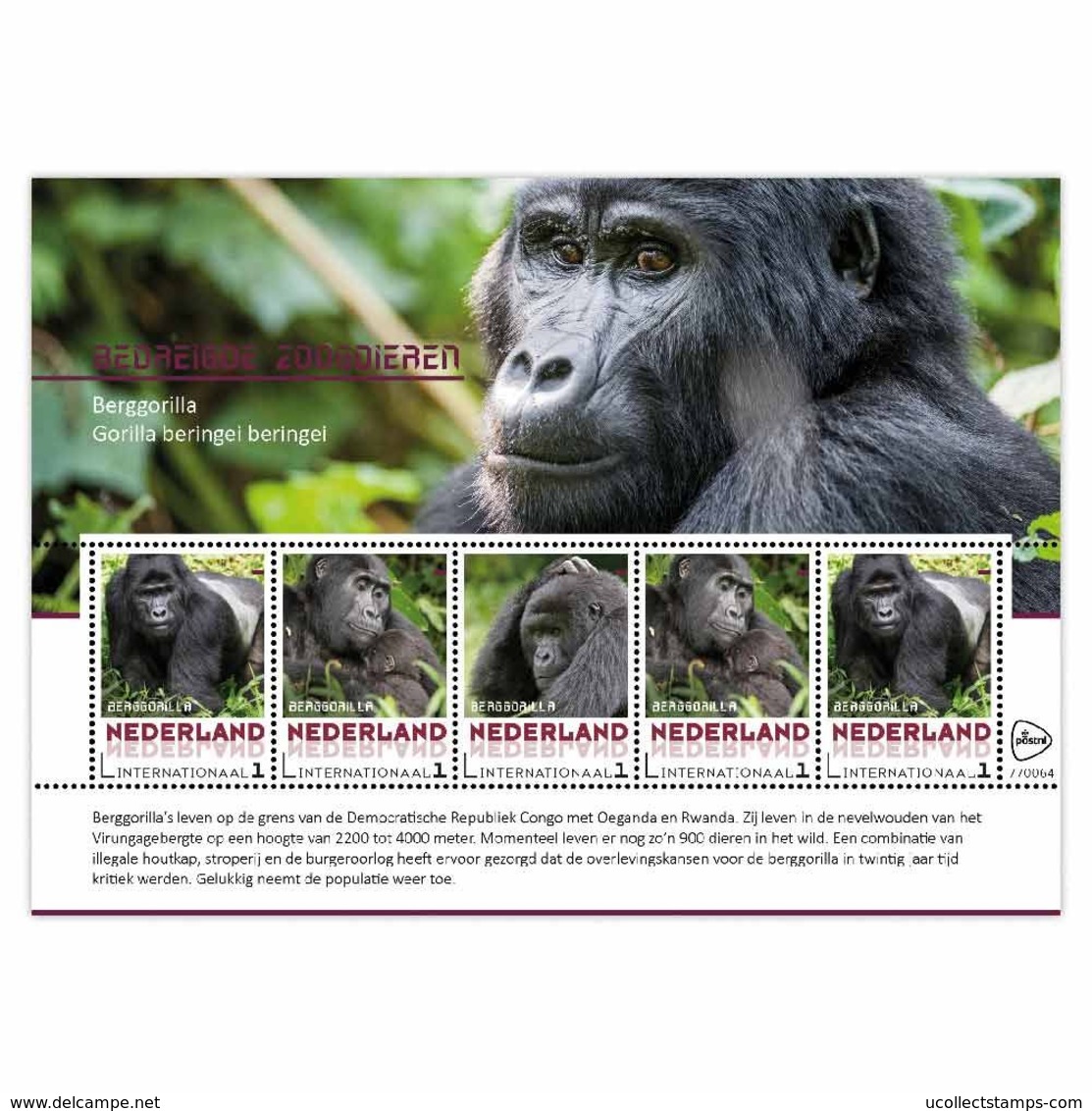 Nederland 2017 Endangered Species 20  Berg Gorilla  Sheetlet    Postfris/mnh/sans Charniere - Ongebruikt