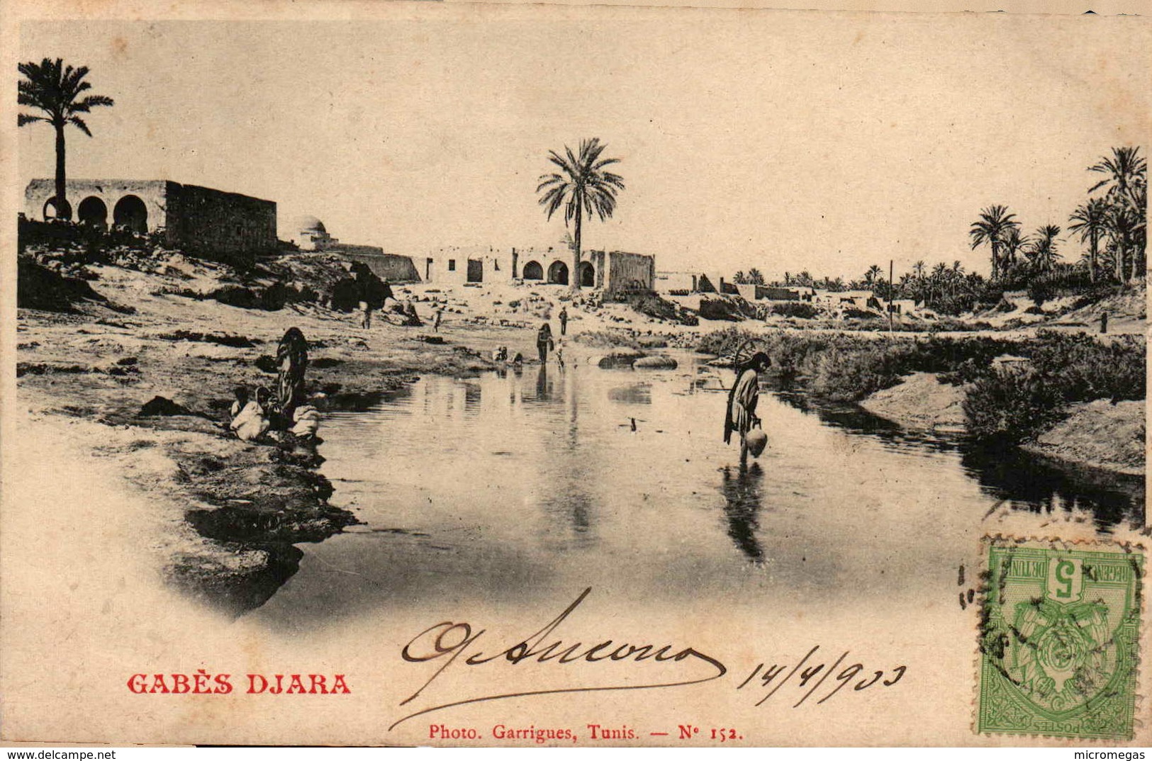 Tunisie - GABES -  Djara - Tunisie