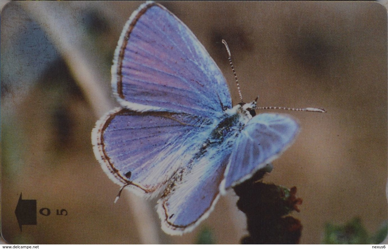 Oman - Mediterranean Pierrot Butterfly - 34OMNX - 1997, 50.000ex, Used - Oman