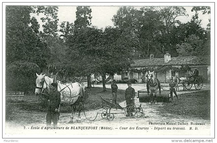 33 - T50026CPA - BLANQUEFORT - Cour Des écuries - Parfait état - GIRONDE - Blanquefort