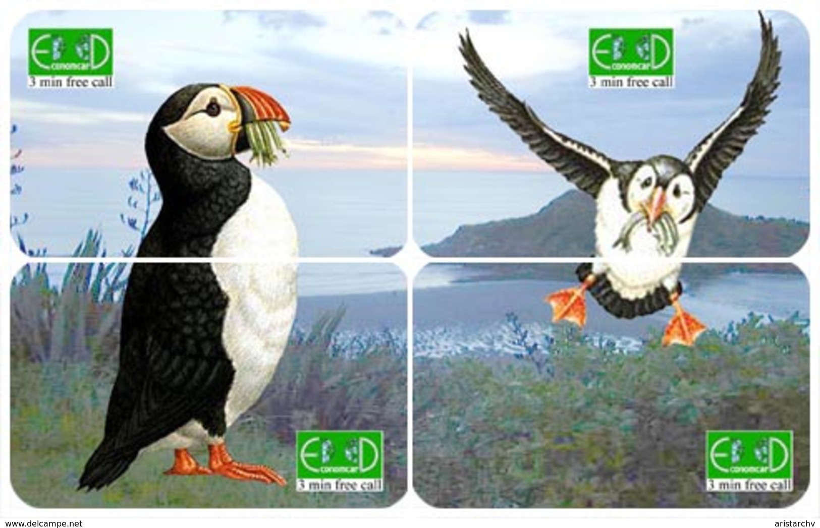 BIRD PINGUIN PUZZLE OF 4 PHONE CARDS - Pingouins & Manchots