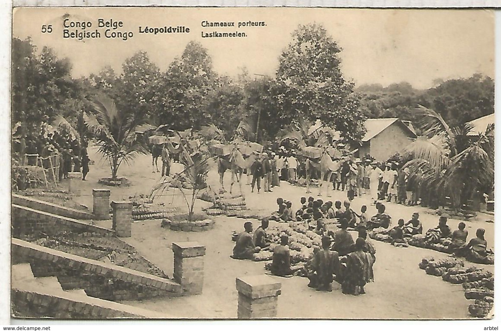 CONGO BELGA ENTERO POSTAL LEOPOLDVILLE 1913 CAMELLO CAMEL - Otros & Sin Clasificación