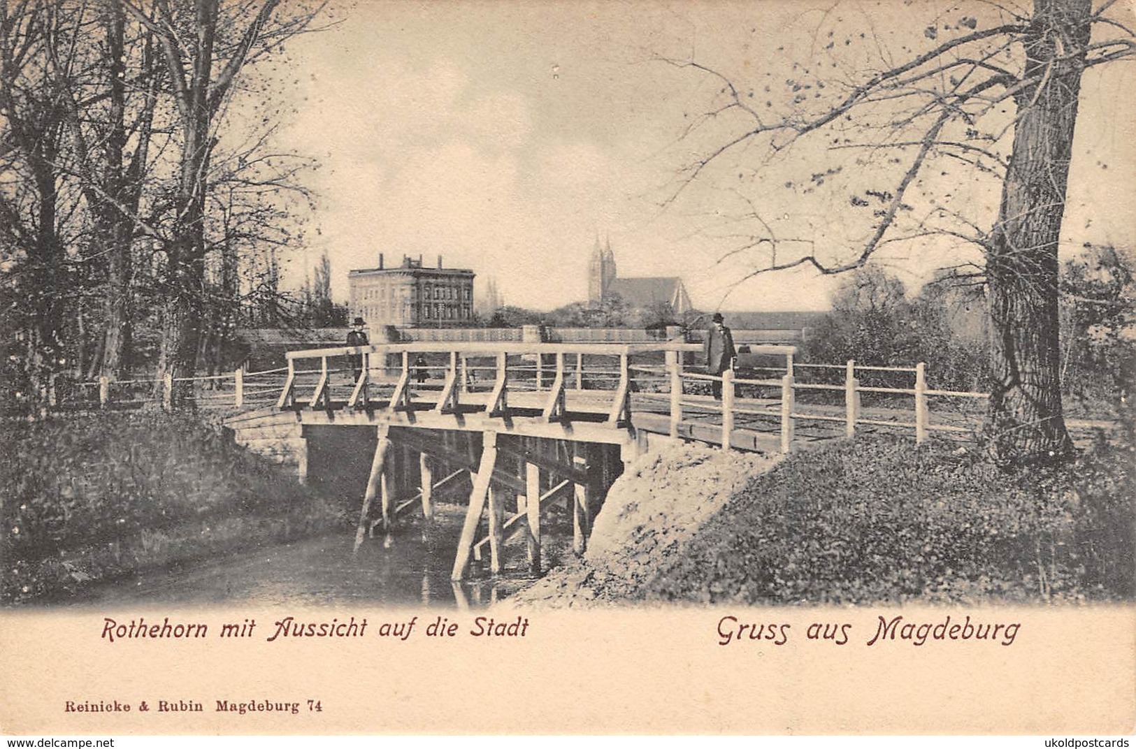 AK - Gruss Aus MAGDEBURG, Rothehorn Mit Aussicht Auf Die Stadt - Magdeburg