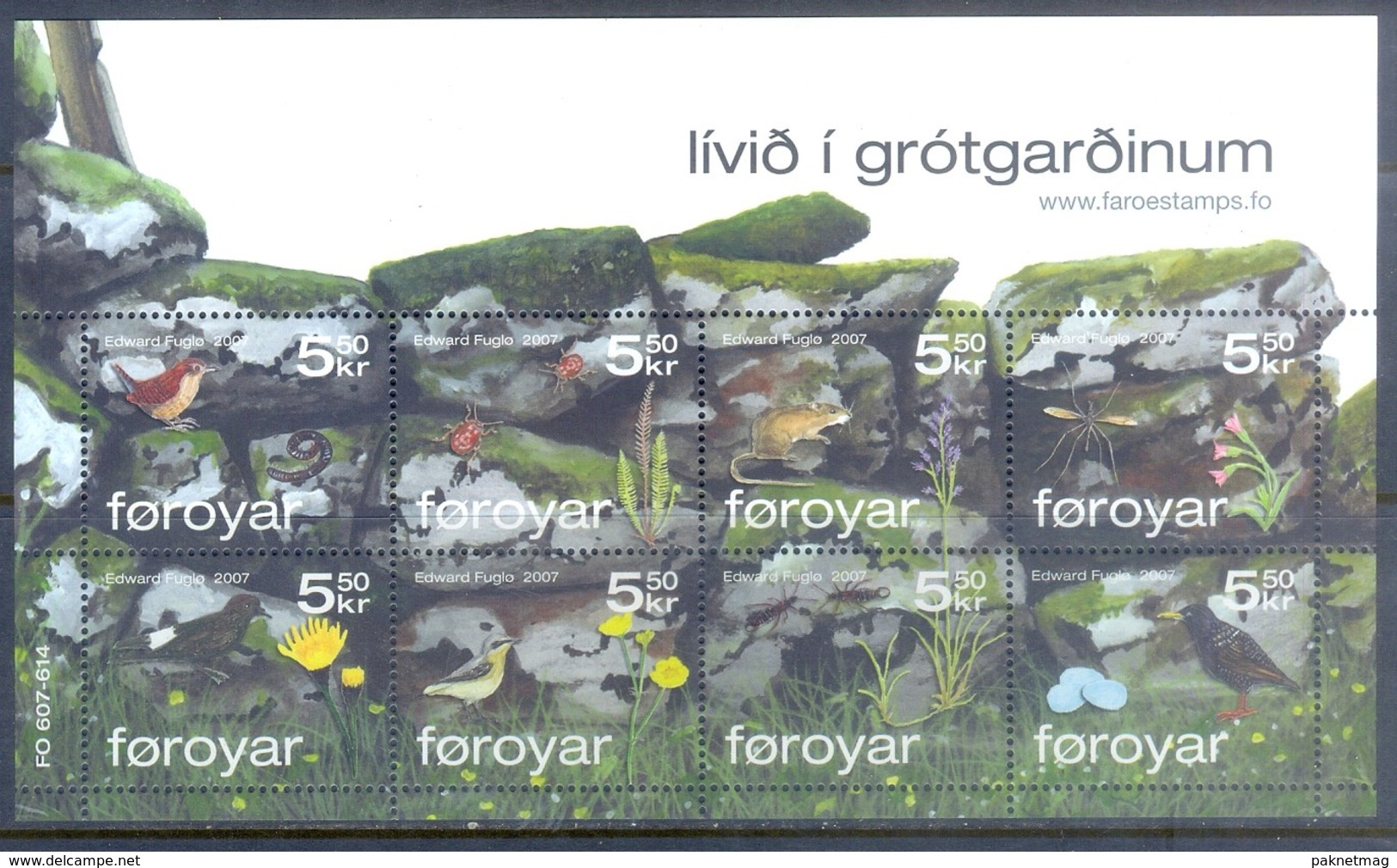 F65- Foroyar 2007. Birds. Insect. Flowers. Rate. Plants. - Other & Unclassified