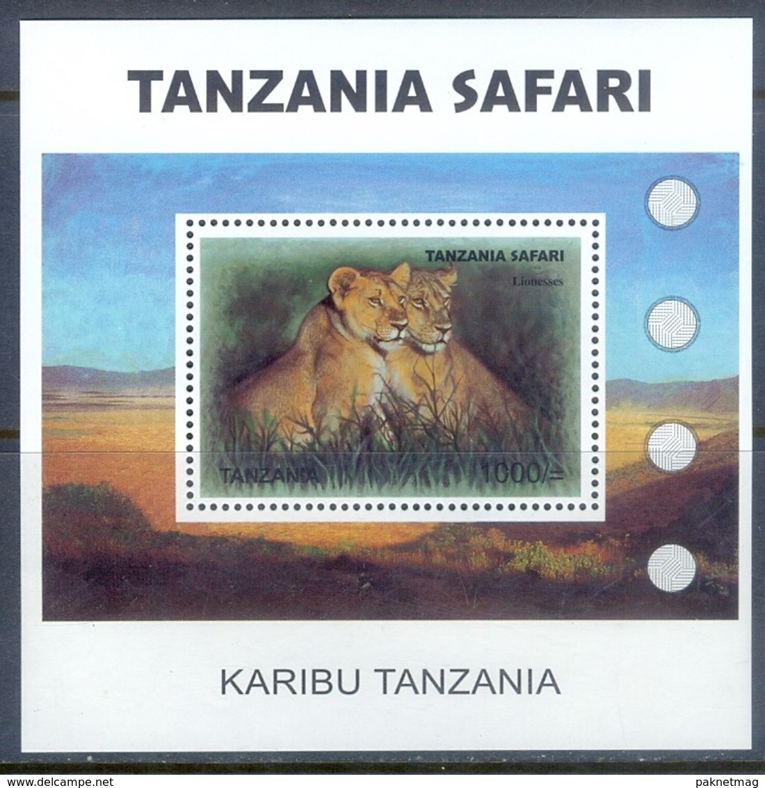 F78- TANZANIA SAFARI 2007. ANIMALS LIONS. - Other & Unclassified