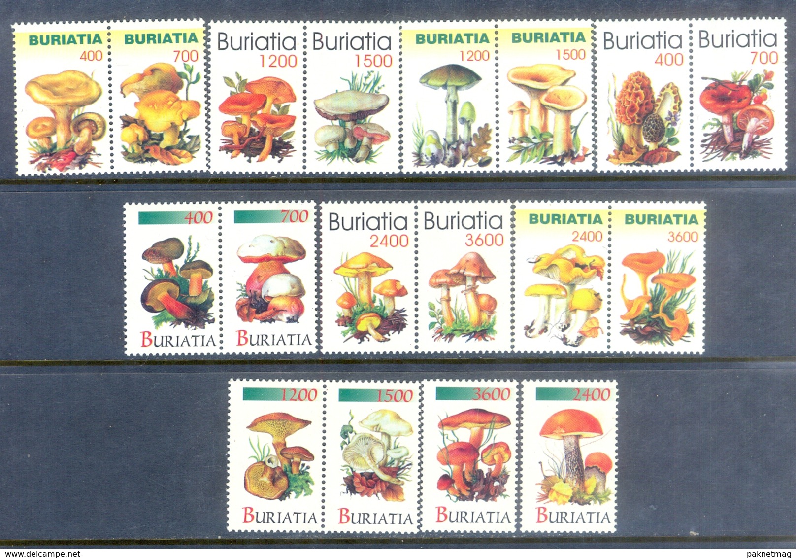 F133- Small Lot Of Buriatia Mushrooms Stamps. - Champignons