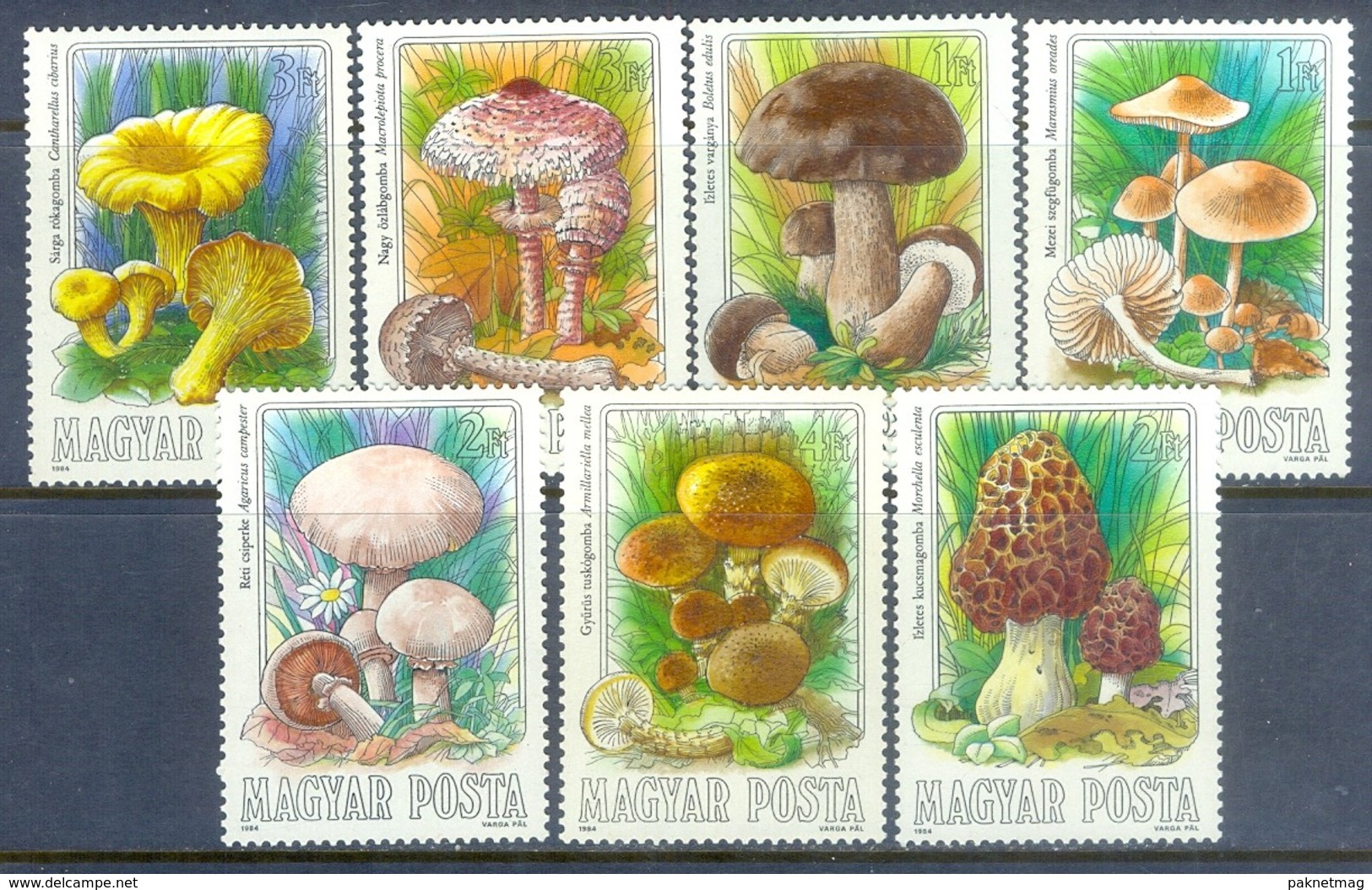 F134- Hungary 1984 Mushrooms Stamps. - Mushrooms