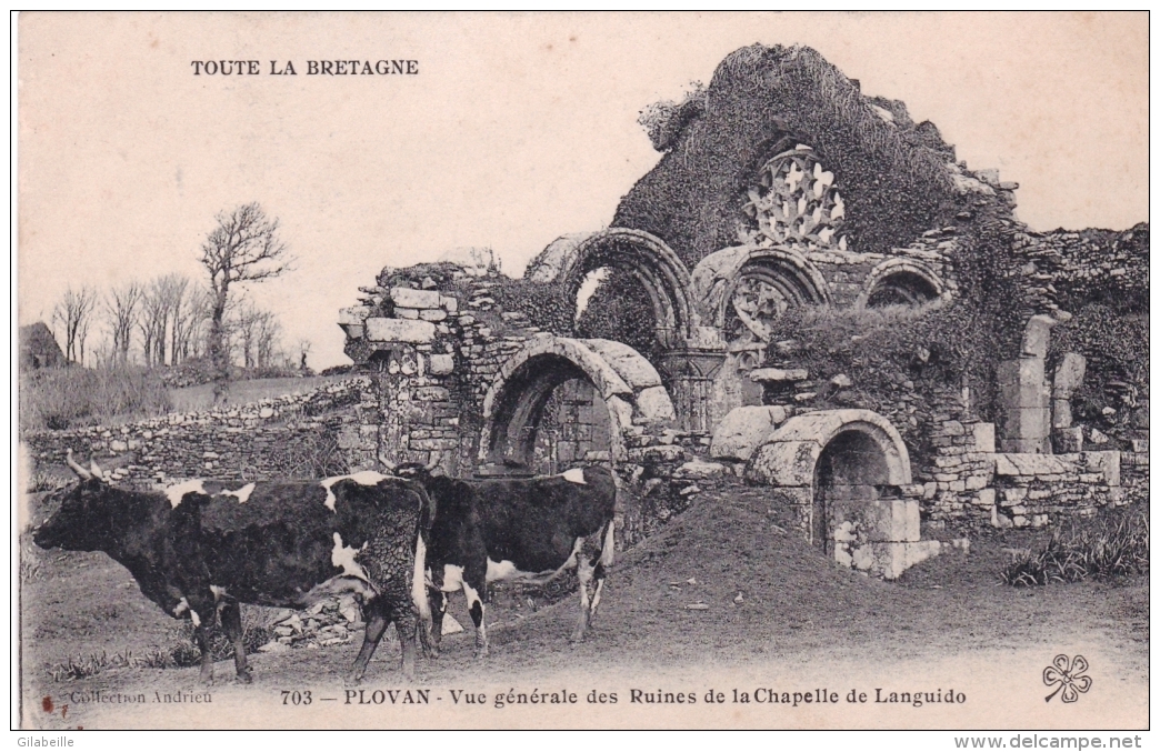 29  -  Finistere - PLOVAN - Vue Generale Des Ruines De La Chapelle De Languidou ( Vaches ) - Autres & Non Classés