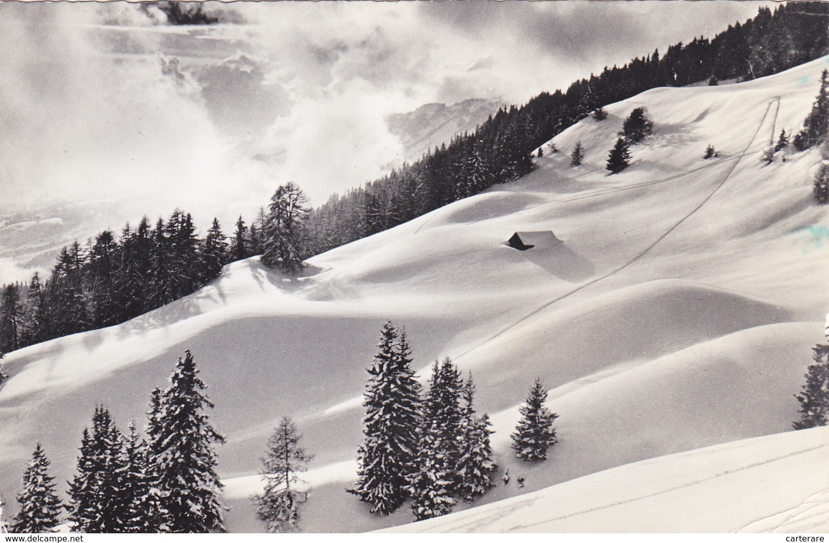 SUISSE,valais,CRANS SUR SIERRE,prés D'icogne,lens Montana,randogne,mollens,pente,neige Abondante,or Blanc - Sierre