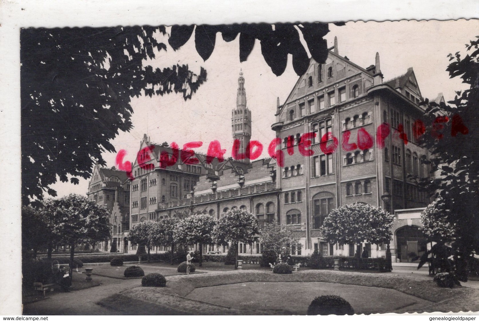 59 - LILLE - L' HOTEL DE VILLE ET LE SQUARE DU REDUIT - CARTE PHOTO 1951 - Lille