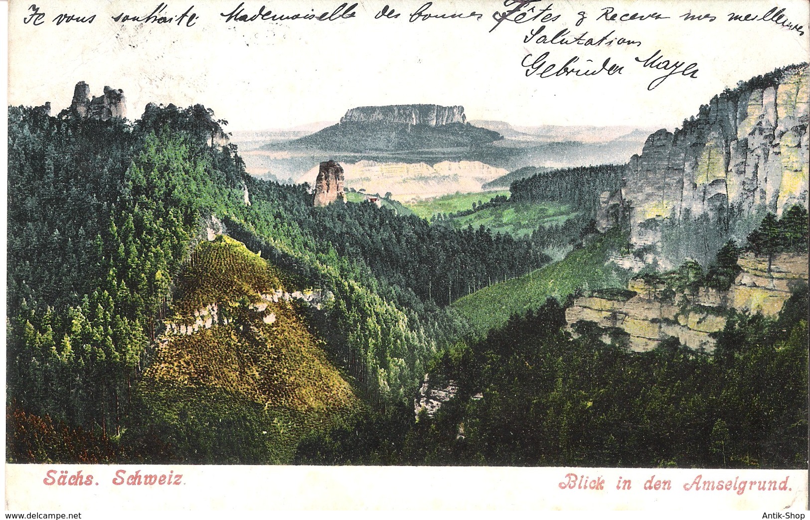 Sächs. Schweiz V. 1905  Blick In Den Amselgrund  (050) - Auersberg