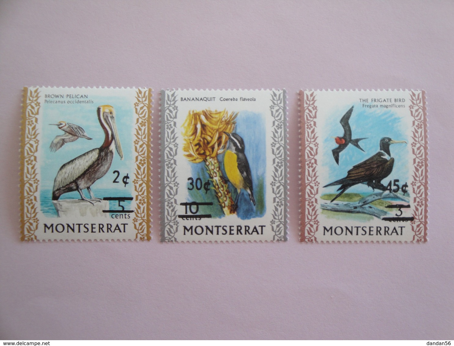 1976 Montserrat Oiseaux Birds Yvert 338/0 ** Scott Xx Michel 337/9 SG 368/70 - Autres & Non Classés
