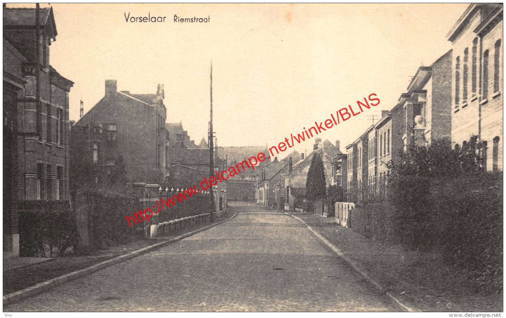 Riemstraat - Vorselaar - Vorselaar