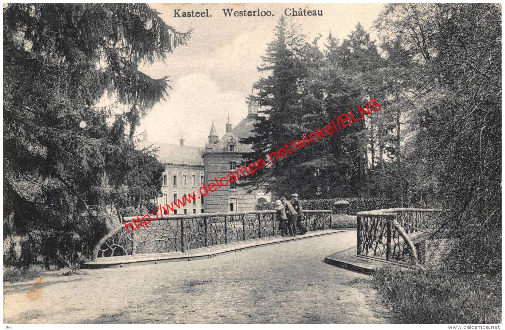 Kasteel - Westerlo - Westerlo