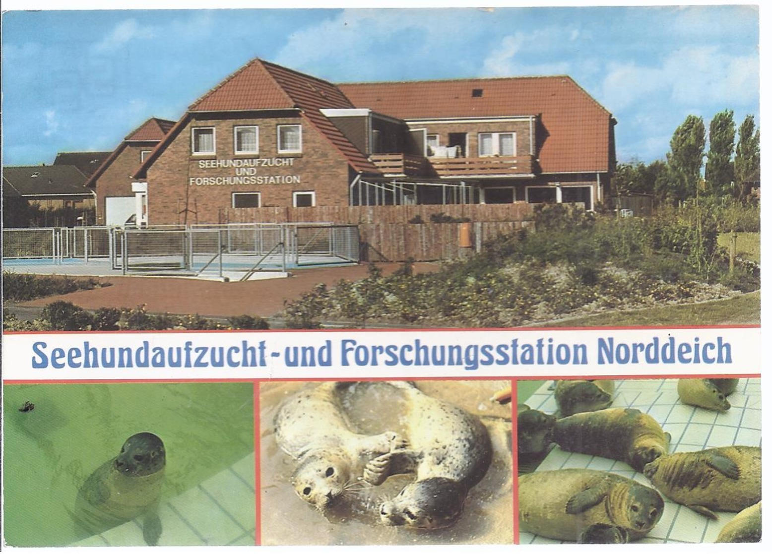 Norden Norddeich - Seehundaufzucht Und Forschungsstation  Mehrbild (4)   -  (13650-031) - Norden