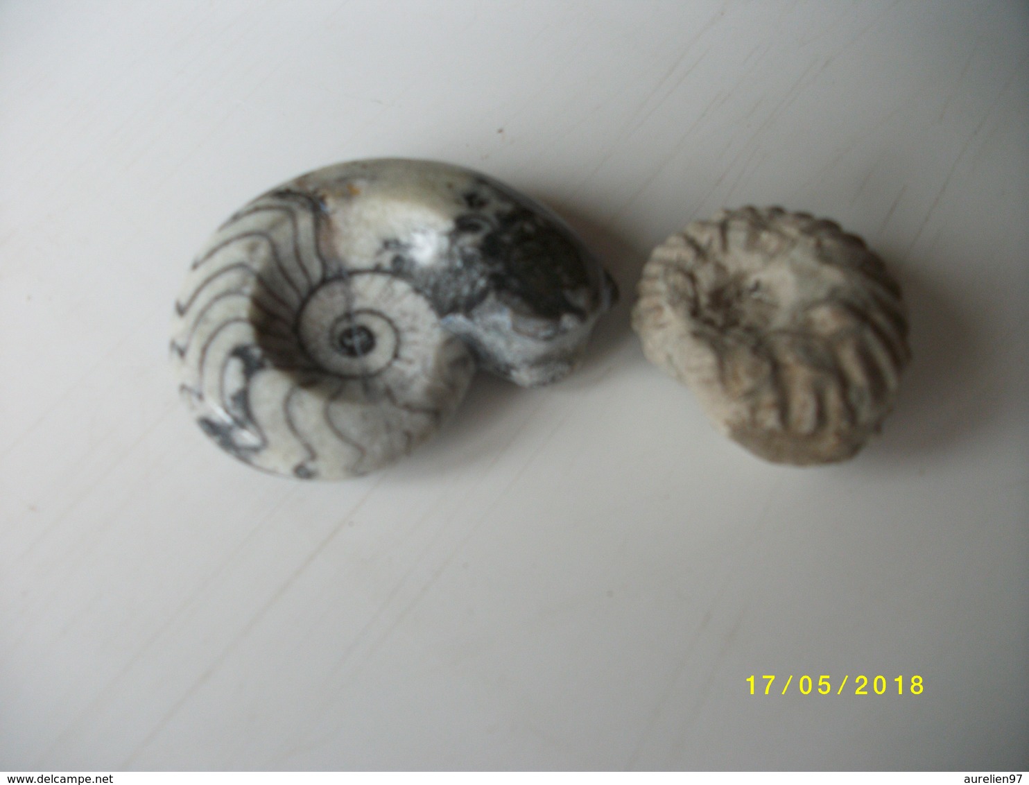 Lot De 2 Ammonites 100 Grs - Fossiles