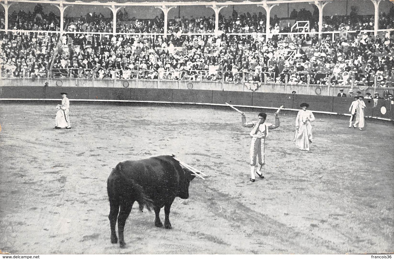 Corride - Appel Aux Banderilles - Corrida Tauromachie Torero Matador - Corrida