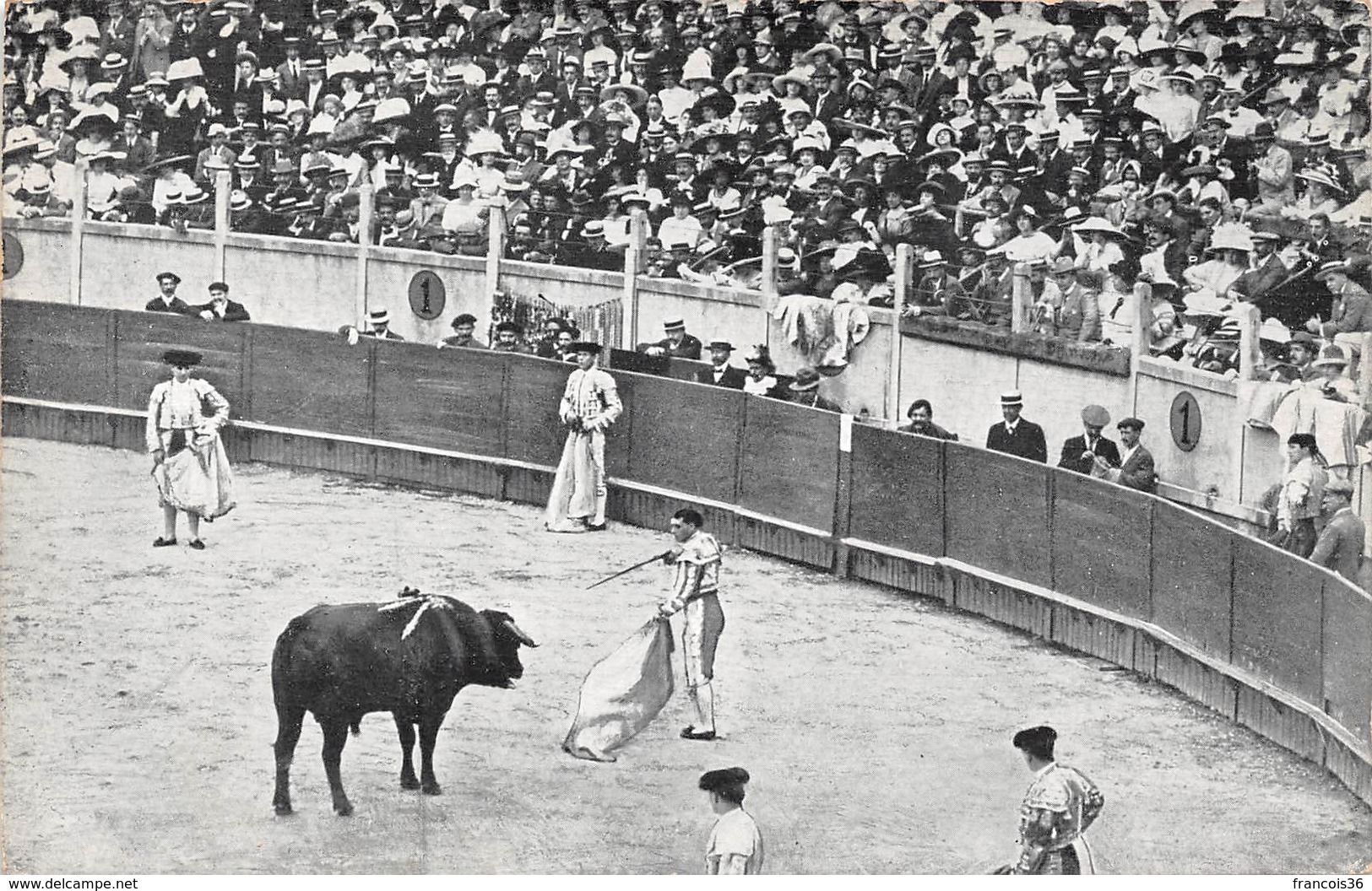 Corride - Mort Du Taureau - Corrida Tauromachie Torero Matador - Corrida