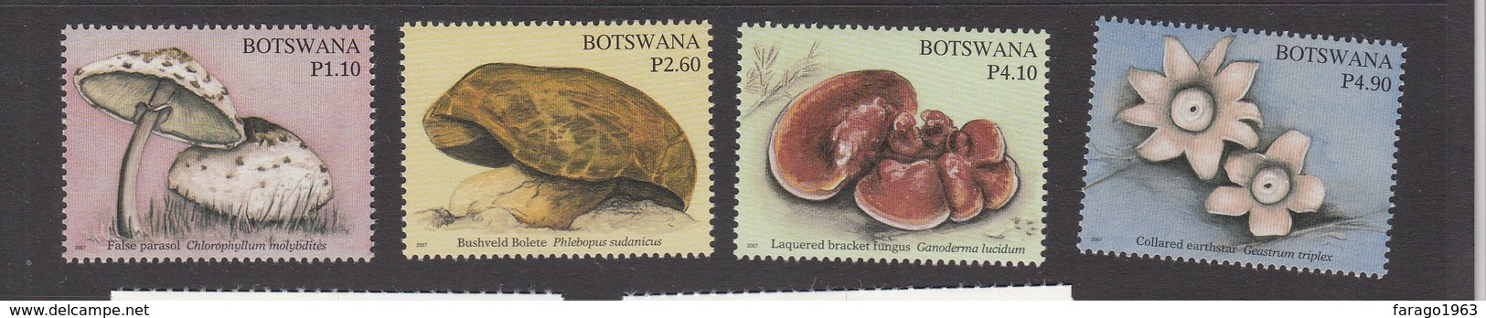 2007 Botswana Mushrooms Fungi  Complete Set Of 4   MNH - Botswana (1966-...)