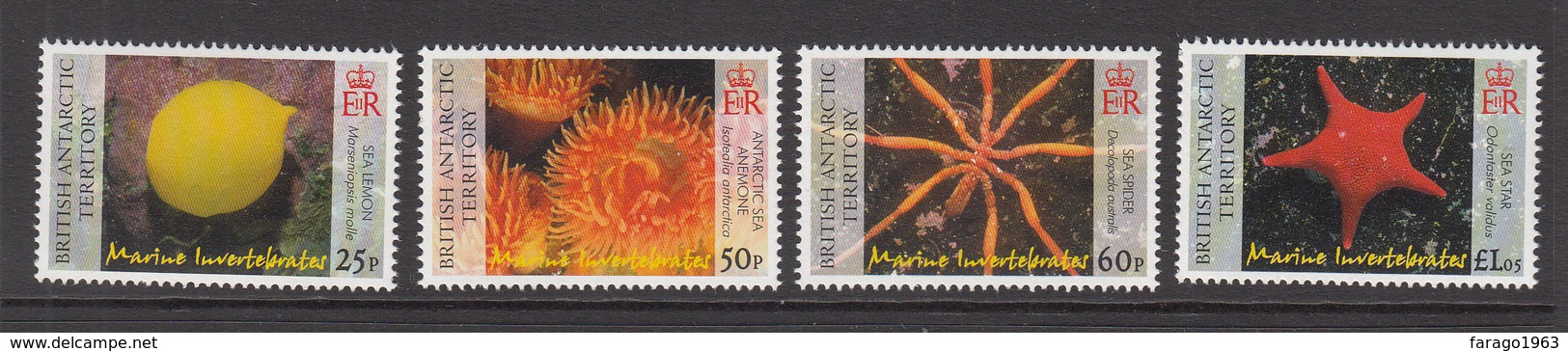 2007 British Antarctic Territory Marine Life Invertebrates Spider    Complete Set Of 4   MNH - Nuevos