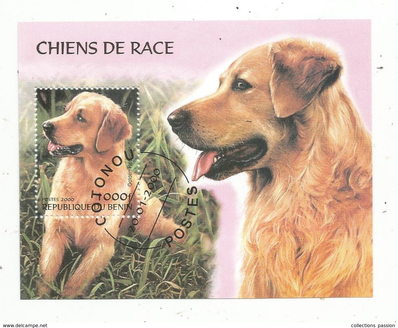 Bloc , CHIENS DE RACE , REPUBLIQUE DU BENIN , 2000 , Golden Retriever - Honden