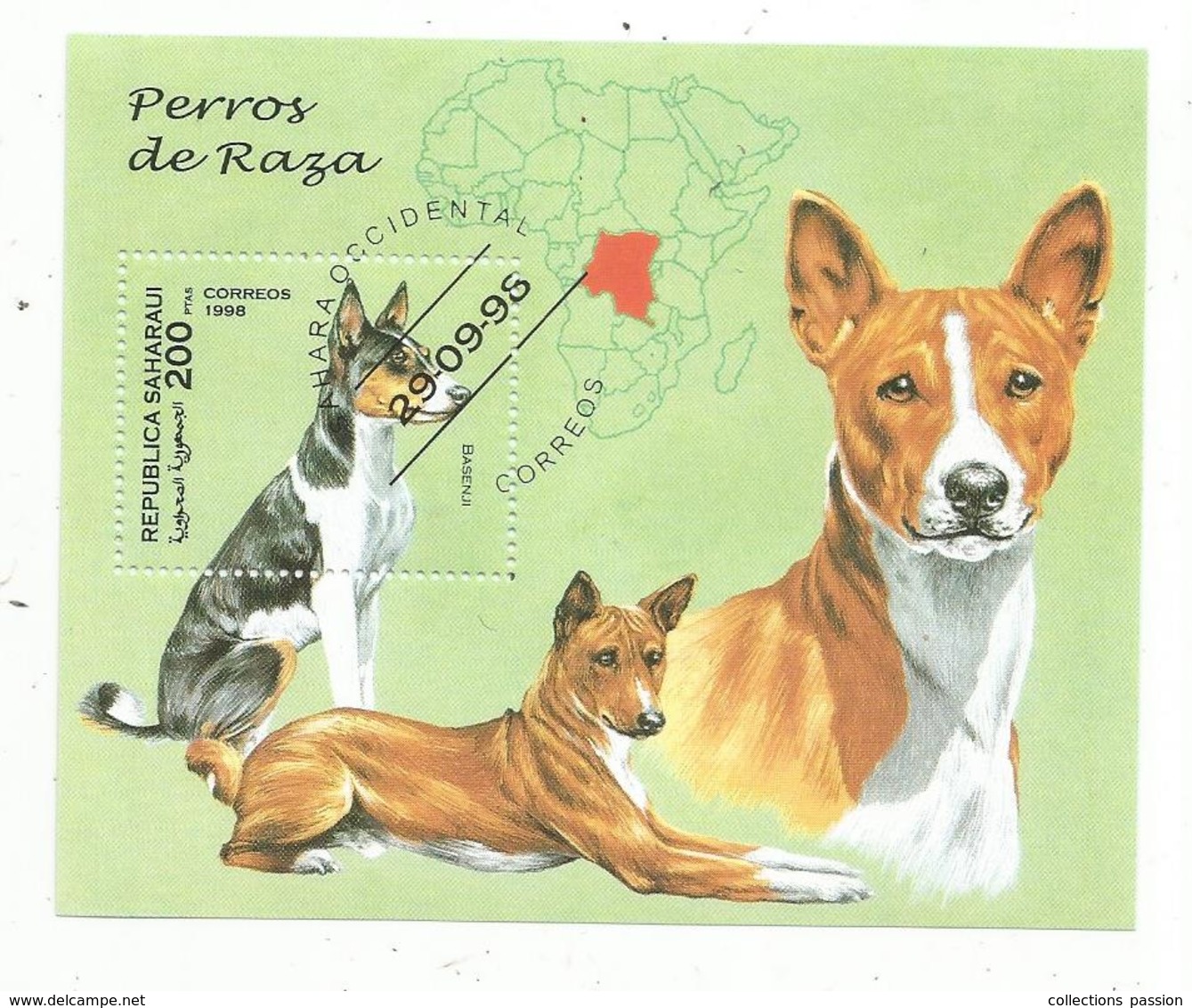 Bloc , PERROS DE RAZA , Republica SAHARAUI , 1998 , BASENJI , CHIENS DE RACE - Honden