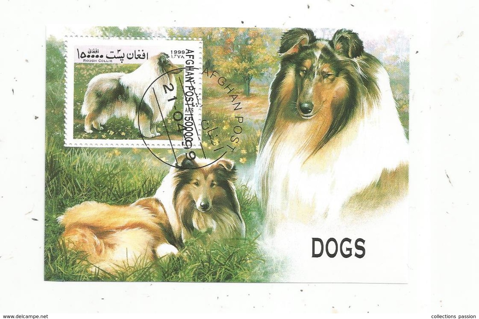 Bloc , CHIENS , DOGS , 1999, AFGHAN POST , Rough Collie - Honden