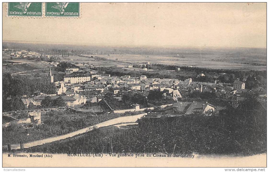 Montluel       01      Vue Prise Du Côteau St Barthélémy         (voir Scan) - Montluel