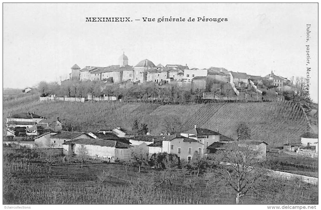 Meximieux       01        Vue Générale De Pérouges        (voir Scan) - Non Classés