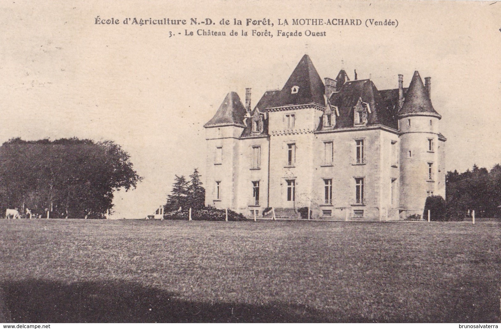 LA MOTHE ACHARD - Le Château De La Forêt - La Mothe Achard