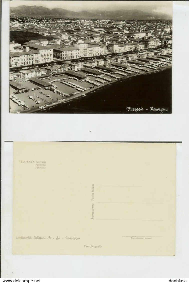 Viareggio (Lucca): Panorama. Cart. FG B/n Lucido Anni '50 - Viareggio