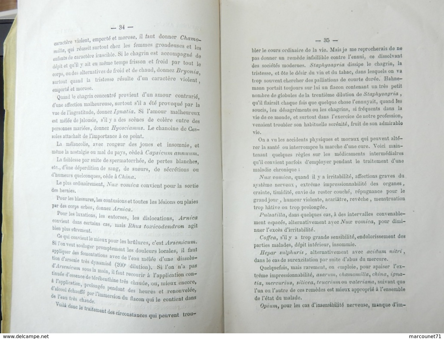 ANCIEN ET RARE LIVRET 1875 L'HOMÉOPATHIE DES FAMILLES ET DES MÉDECINS ADRIEN PELADAN NIMES - 1801-1900