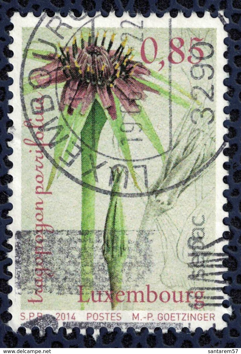 Luxembourg 2014 Oblitéré Rond Used Plante Tragopogon Porrifolius Salsifis Cultivé - Usati