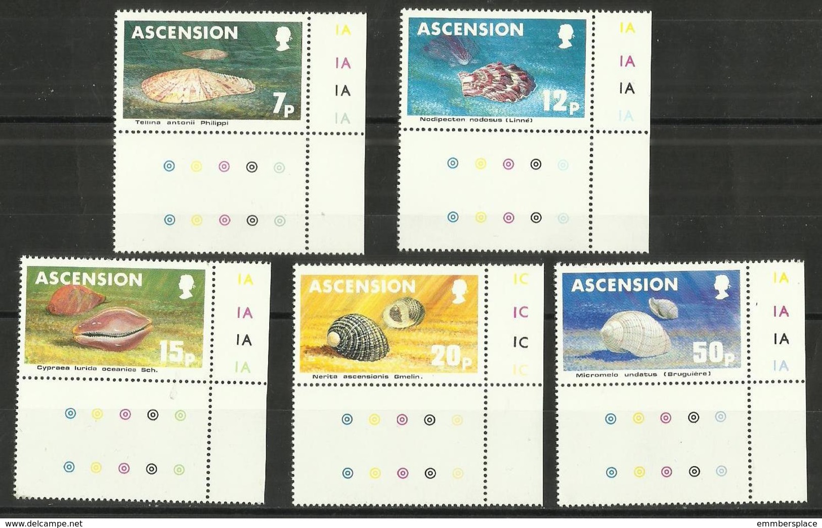 Ascension - 1983 Seashells Set Of 5 MNH **     SG  349-53    Sc 340-4 - Ascension
