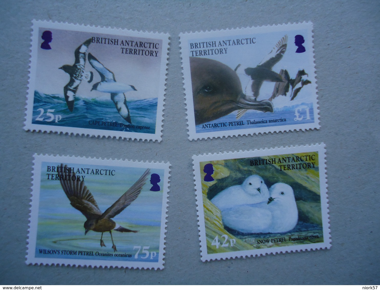 BRITISH ANTARCTIC TERRITORY BAT  MINT SET 4 BIRD BIRDS 2005 - Unused Stamps