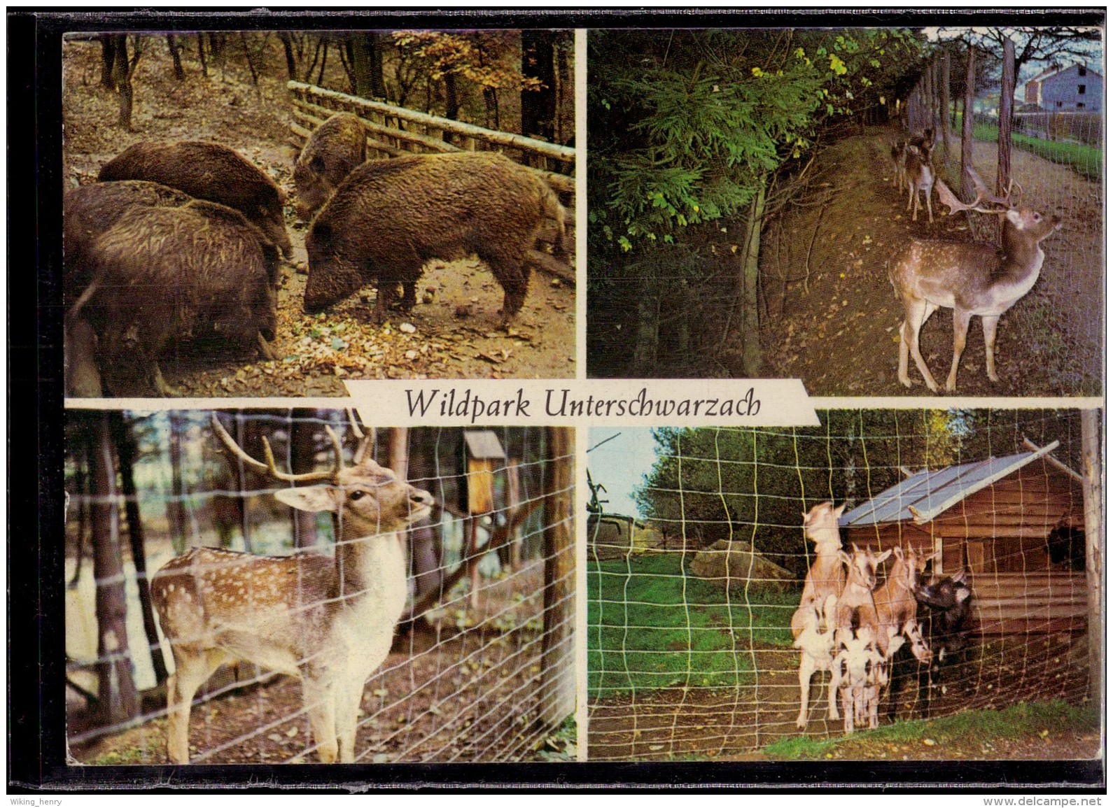 Schwarzach Unterschwarzach Im Odenwald - Wildpark - Otros & Sin Clasificación