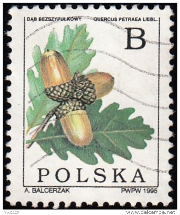 POLAND - Scott #3250 Quercus Petraea (*) / Used Stamp - Alberi