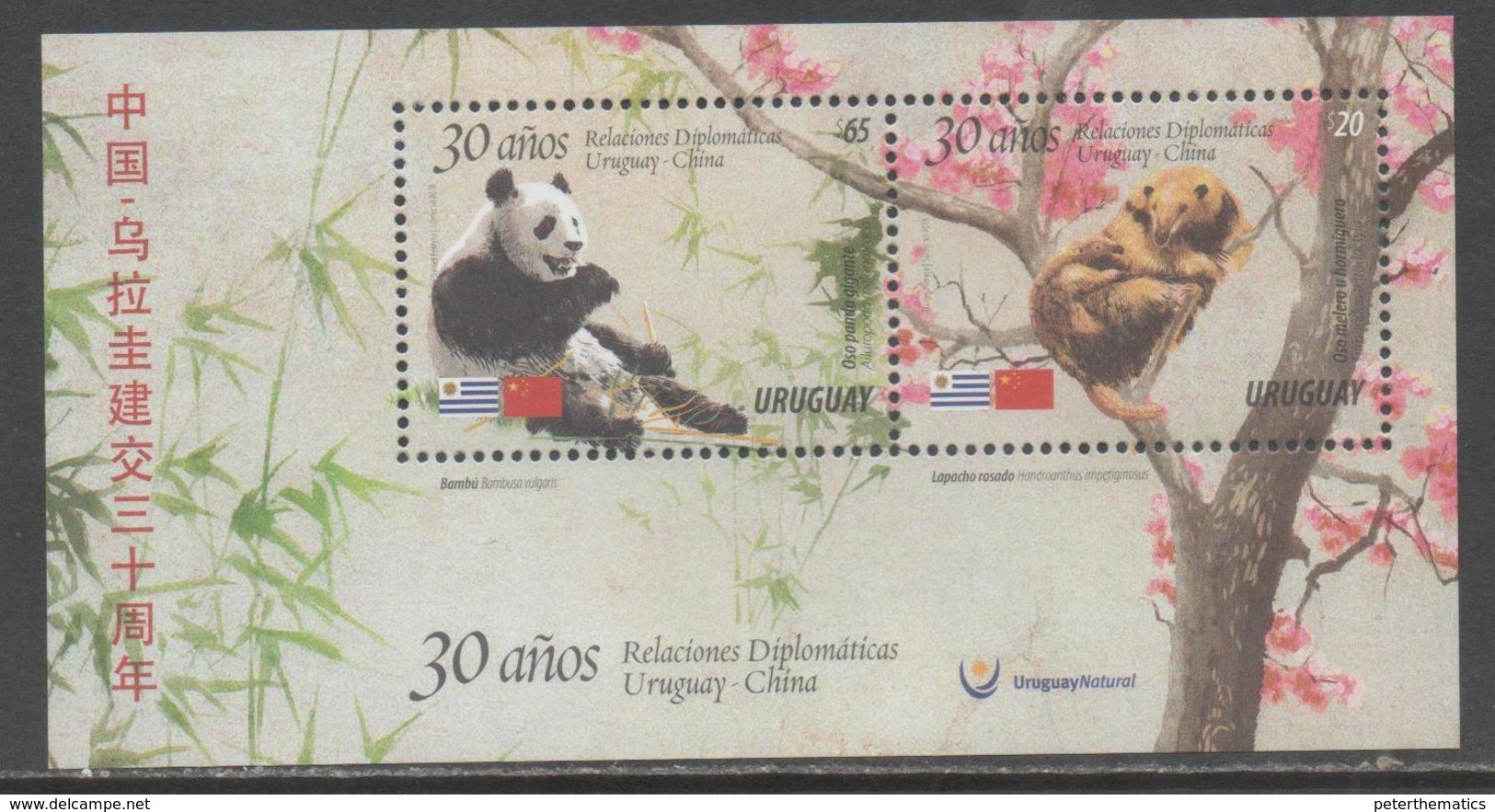 URUGUAY, 2017, MNH, DIPLOMATIC RELATIONS WITH CHINA, PANDAS, ANTEATERS, S/SHEET - Bears