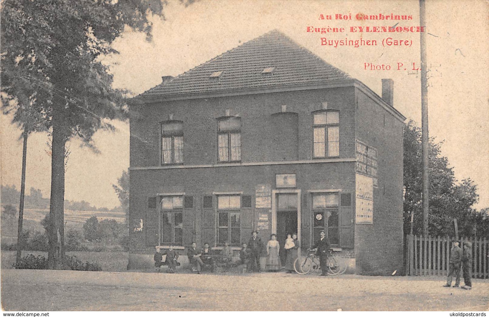 CPA -  Belgique,  BUYSINGHEN, Au Roi Gambrinus, Eugene Eylenbosch - Halle