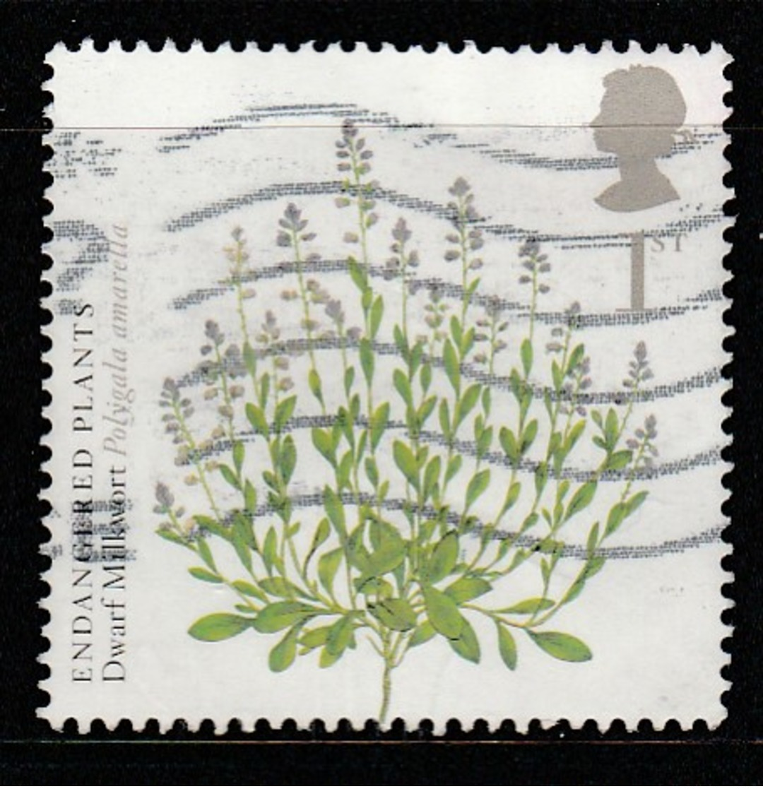 GB 2009 Action For Species (3rd Series) Kew Gardens 250 Anniversary 1st Multicoloured S G 2934 OUsed - Used Stamps