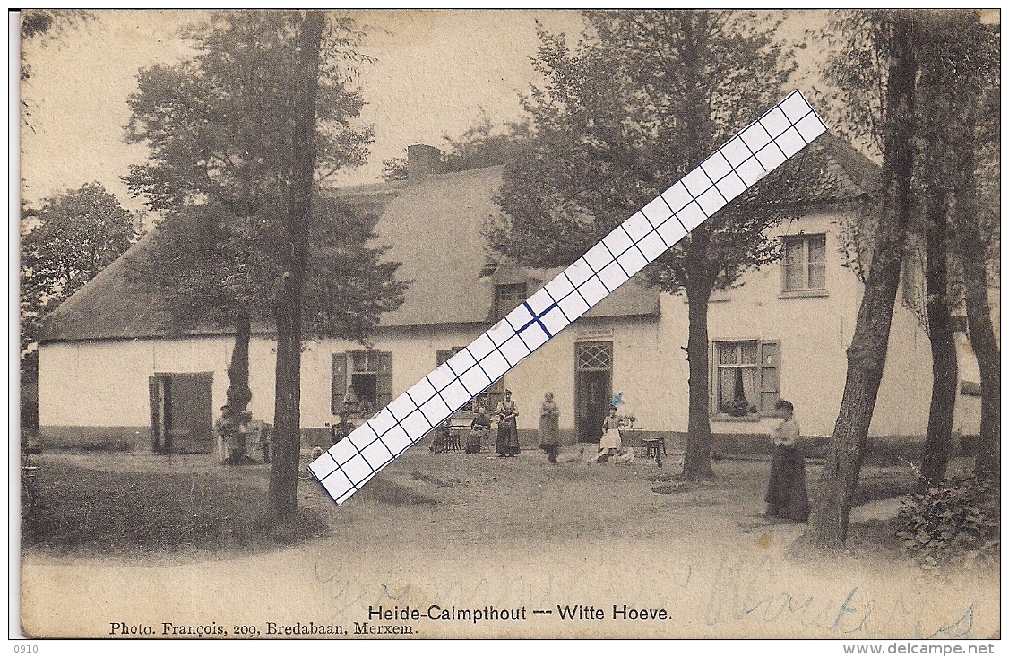 HEIDE-CALMPTHOUT-KALMTHOUT"DE WITTE HOEVE-BOERDERIJ-PAARD"PHOTO FRANCOIS ,MERXEM - Kalmthout