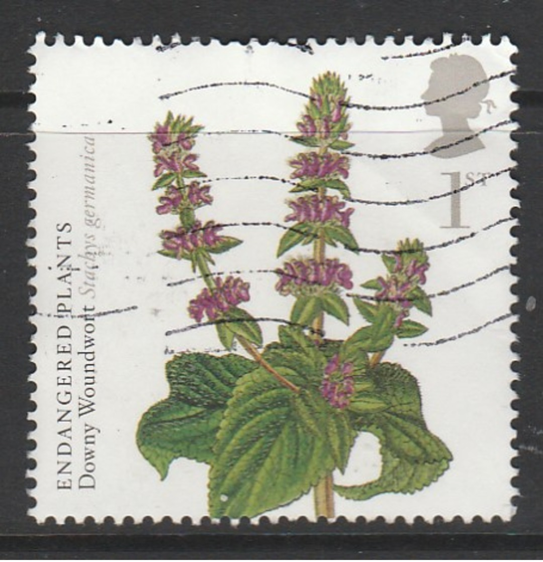 GB 2009 Action For Species (3rd Series) Kew Gardens 250 Anniversary 1st Multicoloured S G 2936 OUsed - Used Stamps