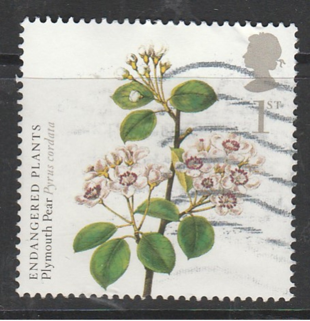 GB 2009 Action For Species (3rd Series) Kew Gardens 250 Anniversary 1st Multicoloured S G 2938 OUsed - Used Stamps