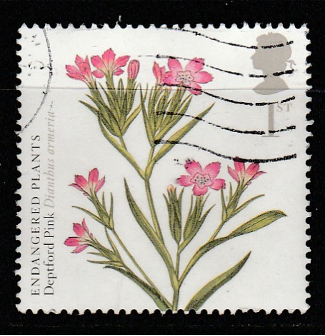 GB 2009 Action For Species (3rd Series) Kew Gardens 250 Anniversary 1st Multicoloured S G 2940 O Used - Used Stamps