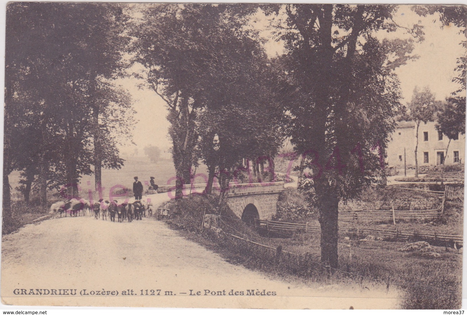 GANDRIEUX SAINT AMANS    Le Pont Des Mèdes - Gandrieux Saint Amans