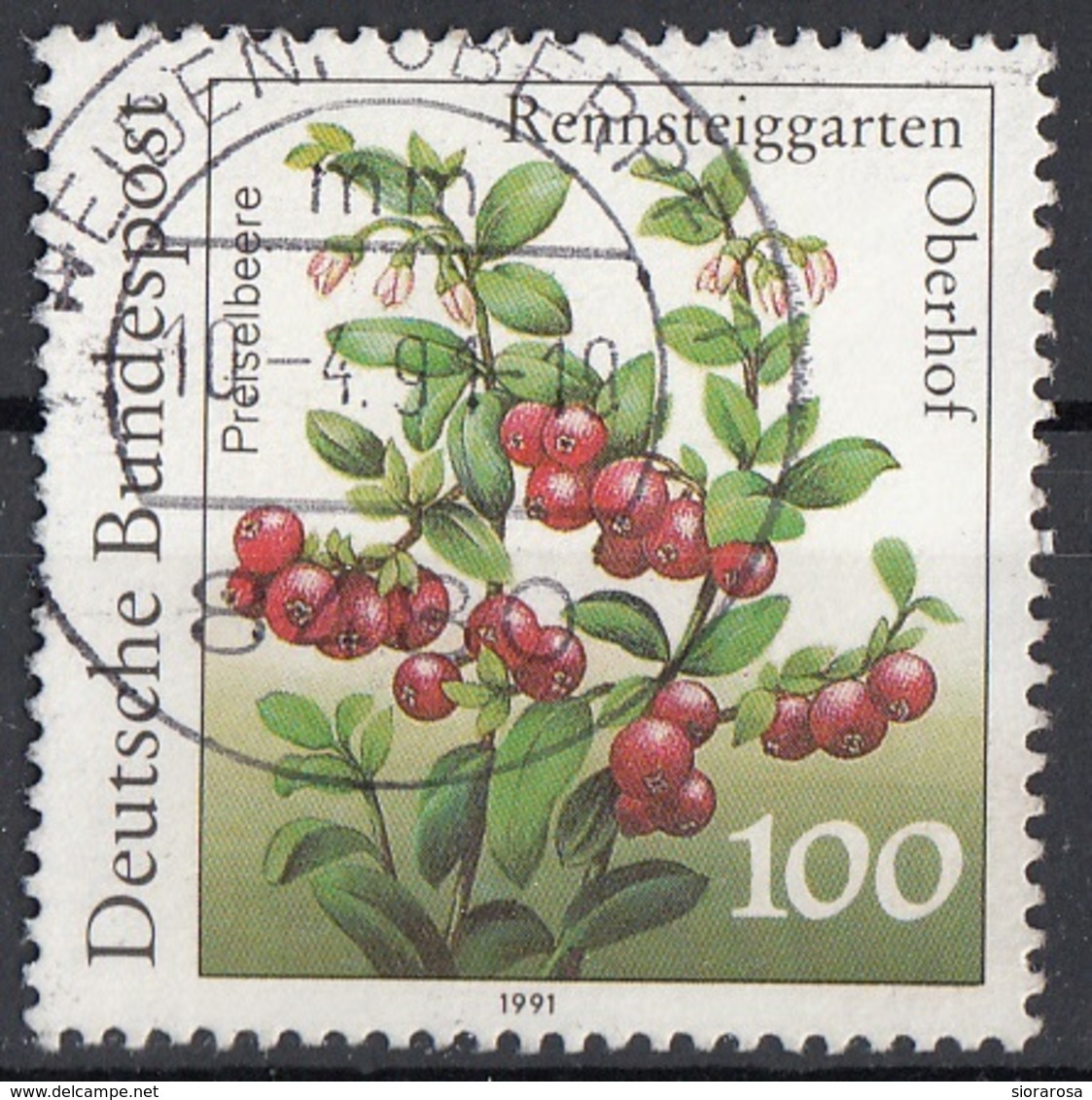 Germania 1991 Sc. 1633 Frutta Mirtillo Cranberry Bundespost Viaggiato Used Germany - Frutta