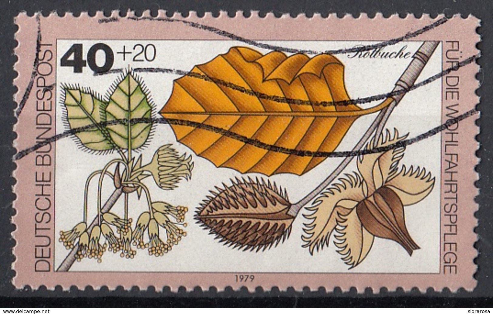 Germania 1979 Sc. B565 Piante Bosco Faggio Rosso Red Beech  Deutsche Bundespost Germany - Frutta