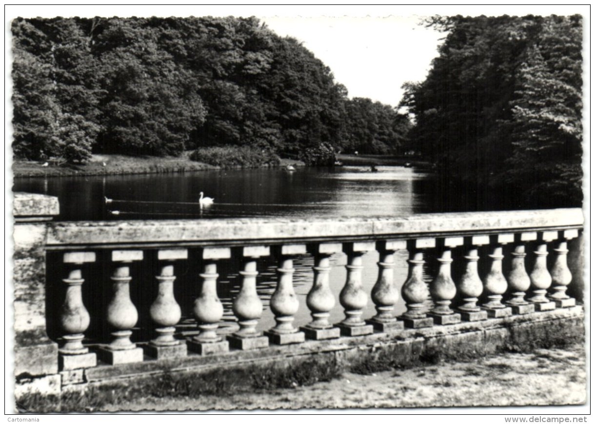 Brasschaat - Vijver - Brasschaat