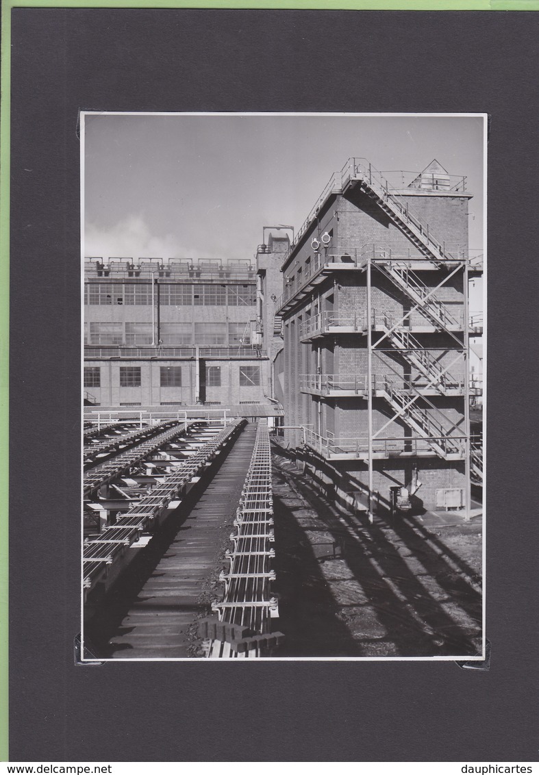 YALLOURN, Victoria, Australia, 1950 : The Briquette Factory. Launders Coal, Charbon, Mines Original Photo Jack Gallagher - Orte