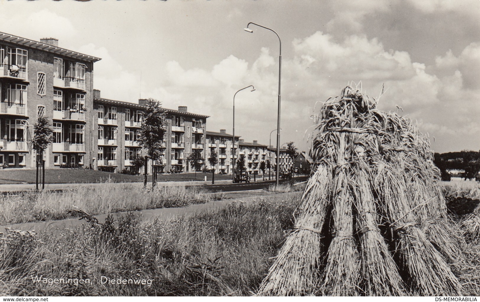 Wageningen - Diedenweg - Wageningen